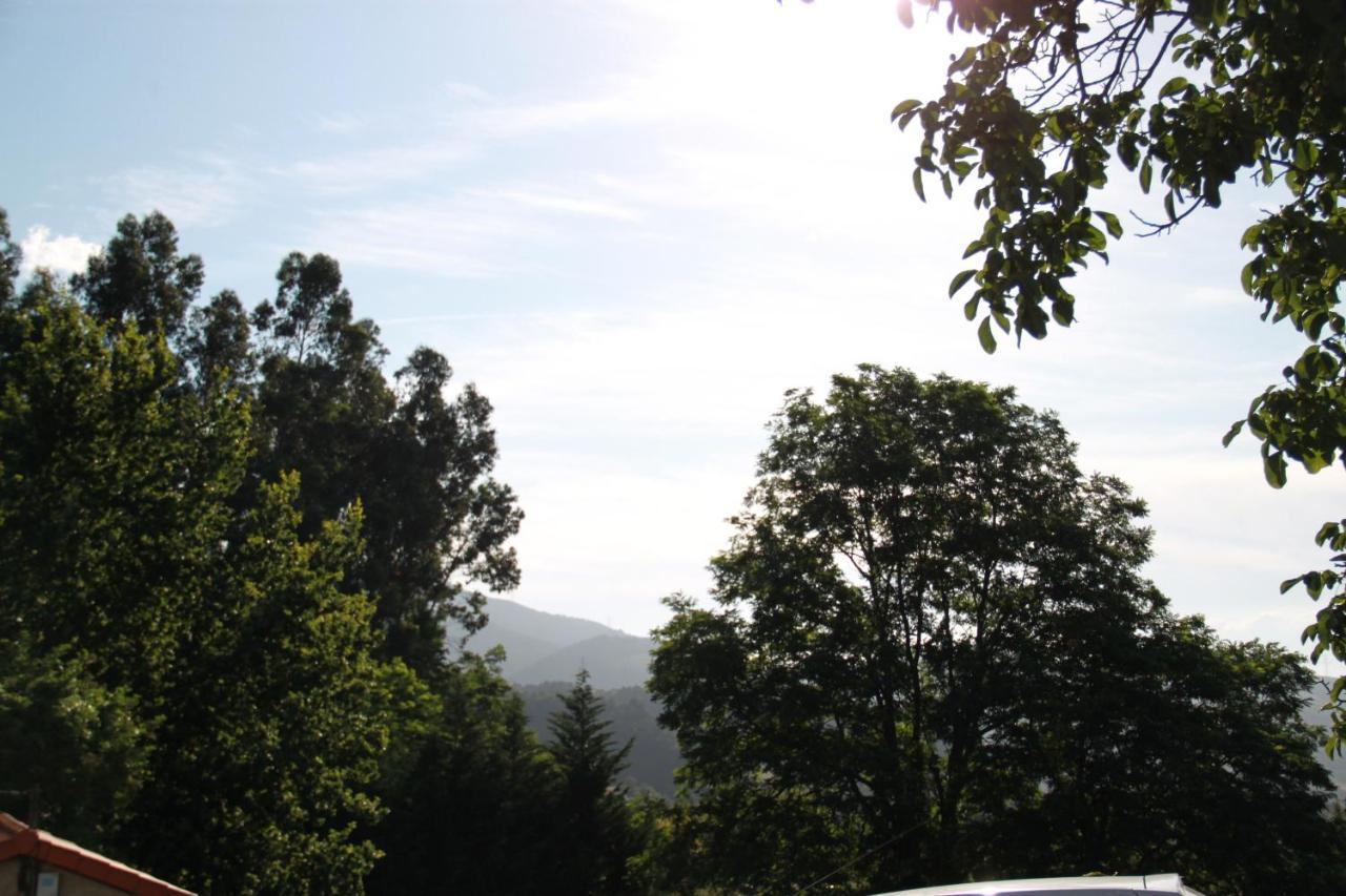 Apartamento Rural Zuri Cotorrio ภายนอก รูปภาพ